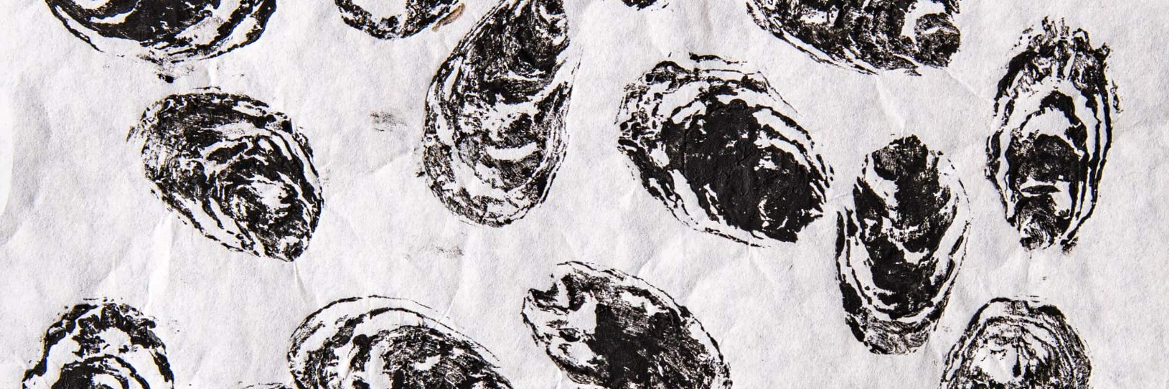 A sheet of hand-pulled oyster shell prints